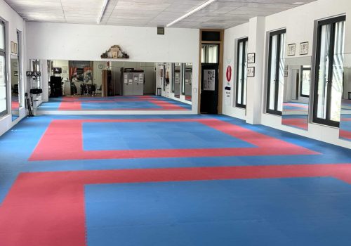 Trainingsfläche